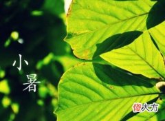 2020年7月6日小暑结婚好吗,小暑有什么风俗习俗？