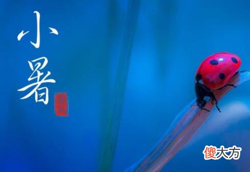 关于小暑节气简介,2020年7月6日小暑领证好不好？