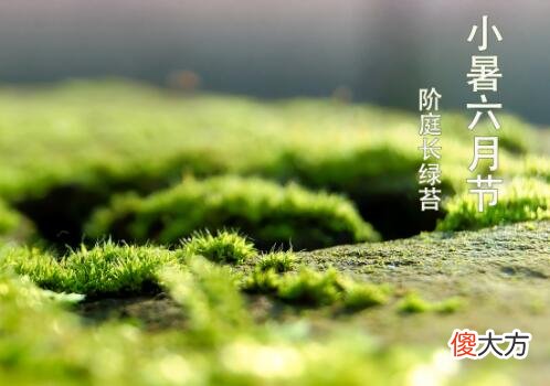 关于小暑节气简介,2020年7月6日小暑领证好不好？