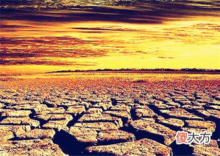 八字五行偏枯是什么意思