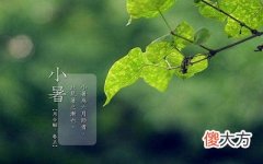 2020小暑是哪天？小暑当天出生的宝宝应该生肖属什么？