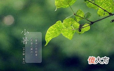 2020小暑是哪天?小暑当天出生的宝宝应该生肖属什么?