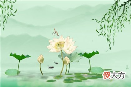 2020年小暑是几月几日几点几分开始,小暑12时辰吉凶
