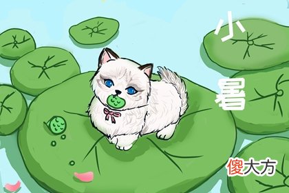 2020小暑这天的财神方位在哪里,2020年小暑是头伏吗？