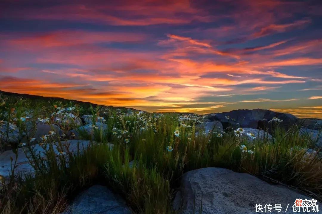 【十二星座】9月，好运当头，财势如雨的3个生肖，将收获满满，衣食无忧