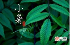 2020年7月6日小暑不能做什么,2020年小暑会不会下雨？