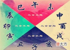 八字中地支三会是什么意思