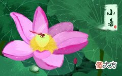 小暑吃什么传统食物,2020小暑结婚办喜酒好吗？