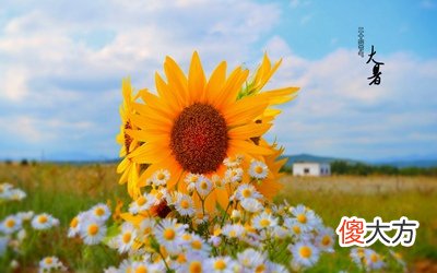 2020年大暑节气是几点几分？大暑是什么日子？