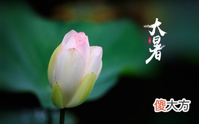 2020年大暑节气是几点几分？大暑是什么日子？