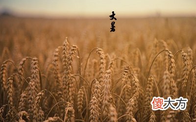 大暑是吉利日子吗？2020大暑是具体时辰是多少？