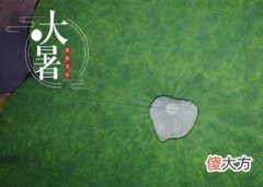 2020年农历六月初二大暑结婚吉利吗,大暑节气简介！