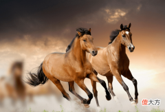 【爱历史】汗血宝马流的究竟是什么？难道真是血