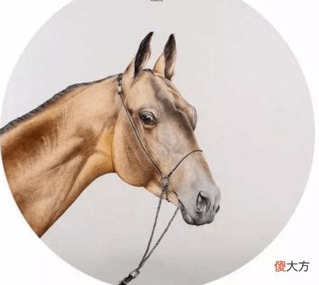 【爱历史】汗血宝马流的究竟是什么？难道真是血
