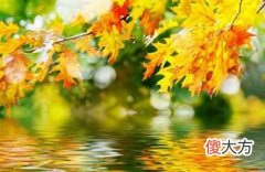 2020庚子鼠年农历七月份好日子是哪几天？