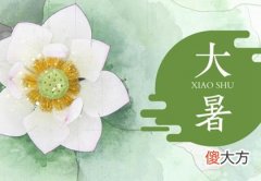 2020年大暑是几伏,2020年暑伏从哪一天开始？