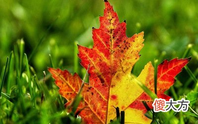 2020年农历七月有什么节气？二十四节气分别是什么时候？