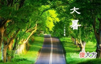 2020年六月初二大暑办喜酒好吗,2020大暑这天冲什么生肖？