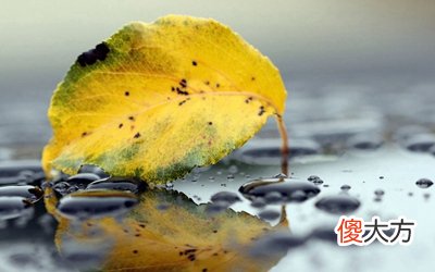 搬家怎么看吉日？2020年农历七月哪天适合搬家乔迁最好？