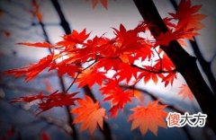 农历八月又叫什么月？2020年农历八月开工吉日是哪几天？