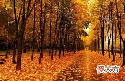 农历八月是什么属相？2020年农历八月黄道吉日