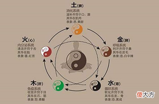 八字看健康解析