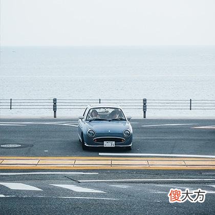 梦见抓了一个鹌鹑